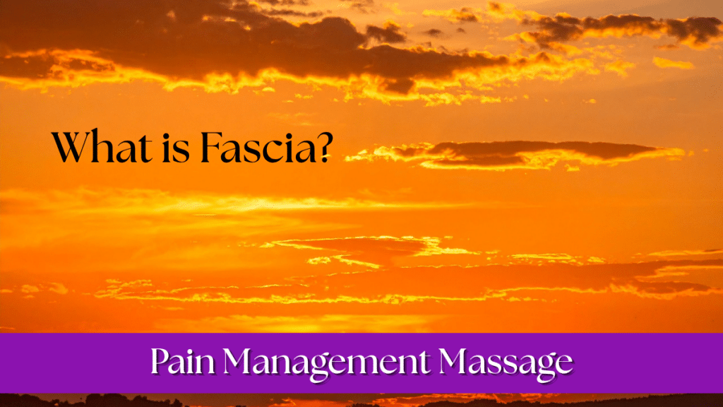 What is Fascia?