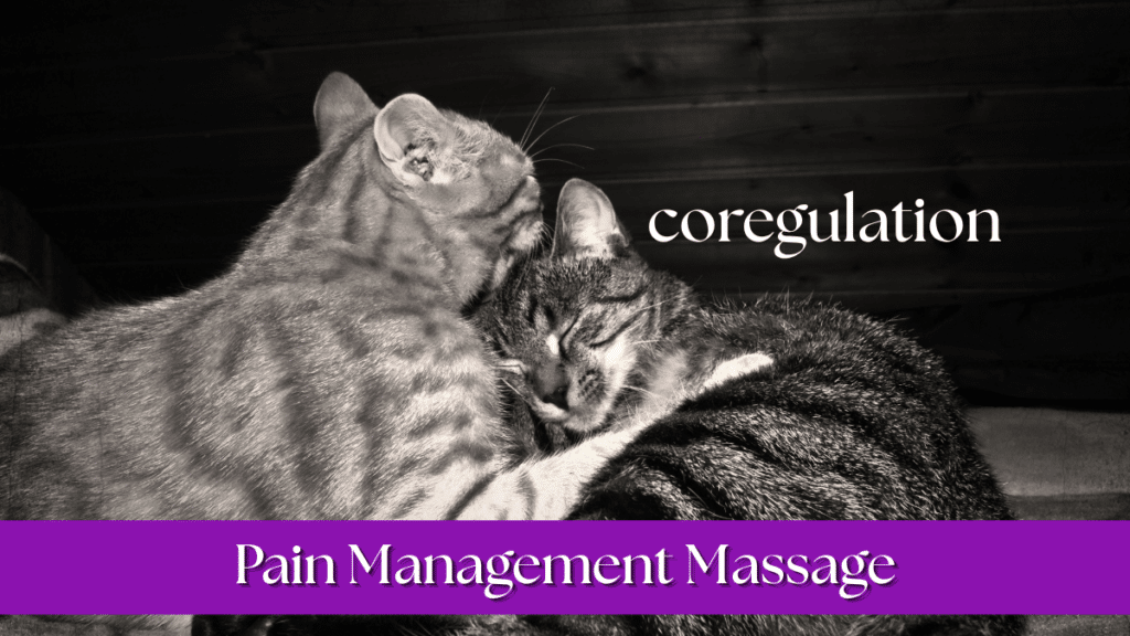 coregulation