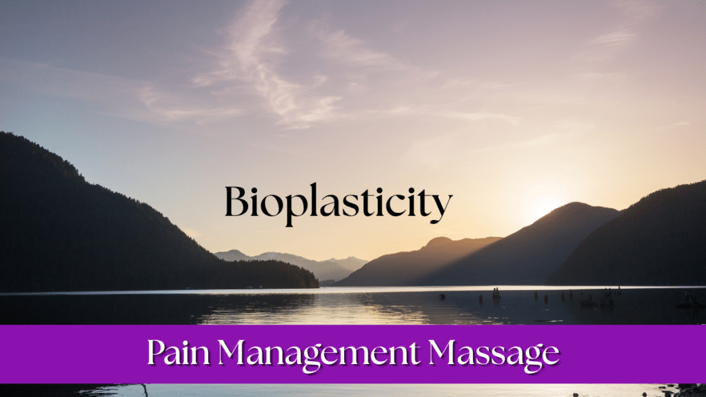 Bioplasticity
