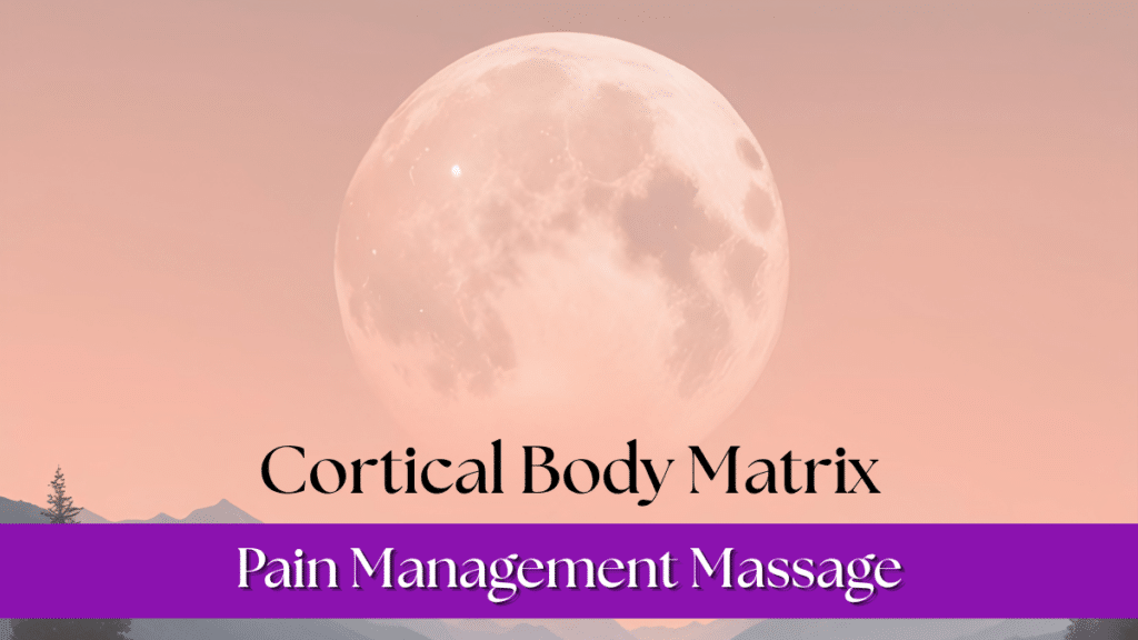 Cortical body matrix