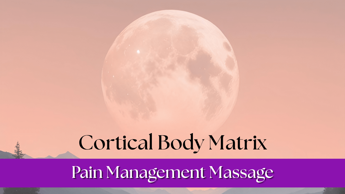 Cortical body matrix