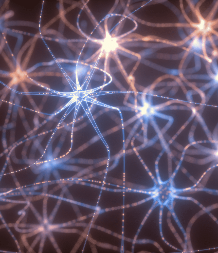Neuron