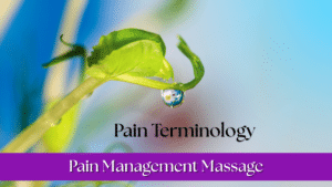 Pain Terminology