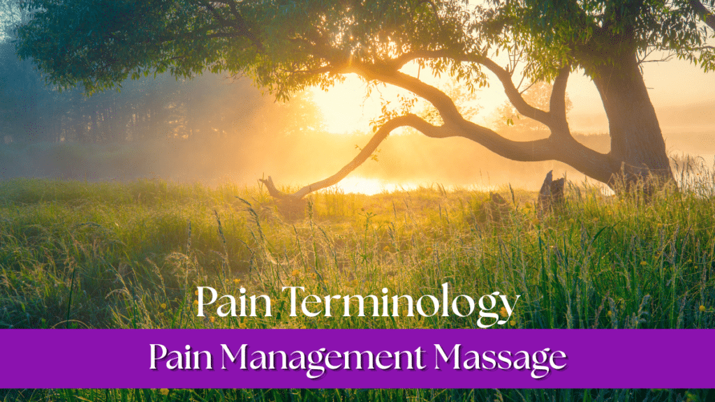Pain Terminology