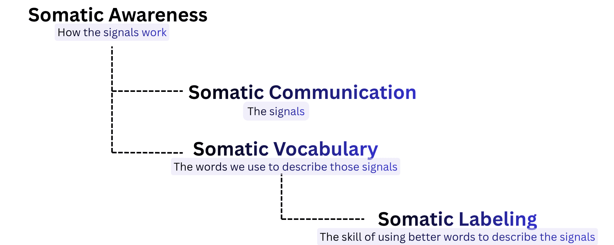 somatic components of the mind-body connection