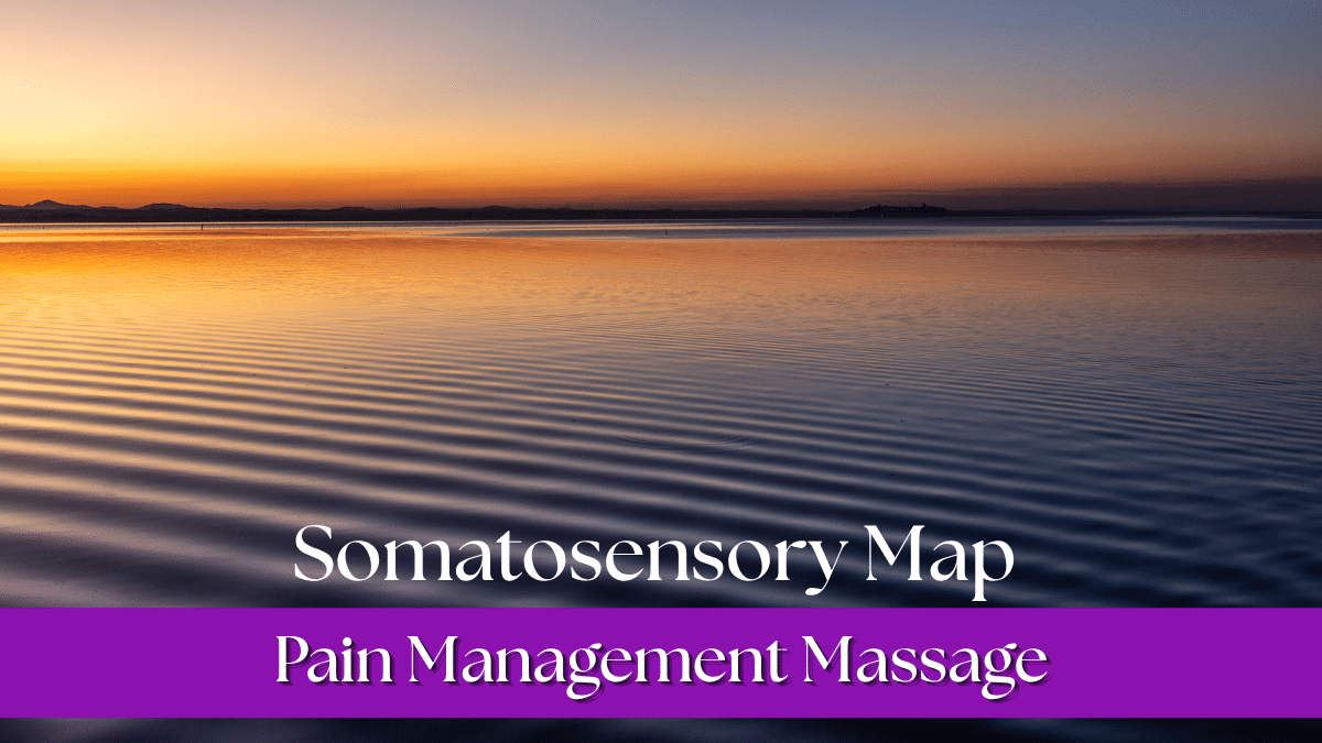 Somatosensory Map