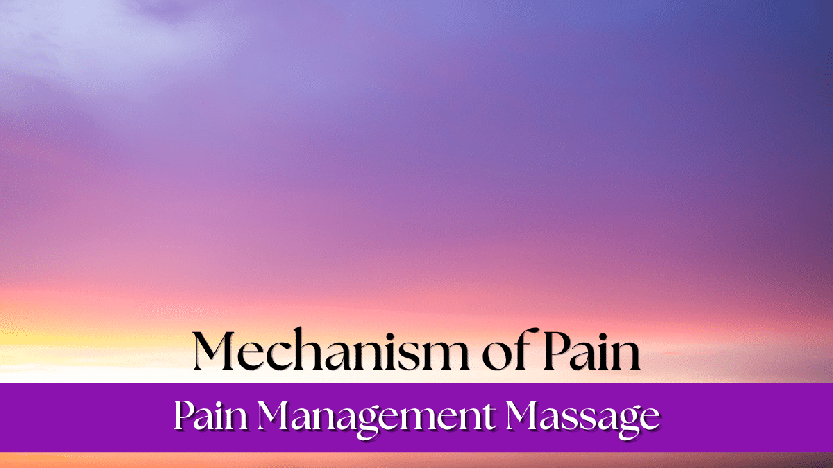 mechanism of pain