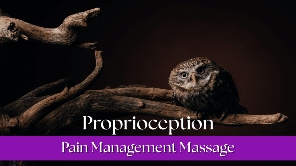 Could your elevated pain and reduced range of movement have more to do with proprioception than actual tissue damage?